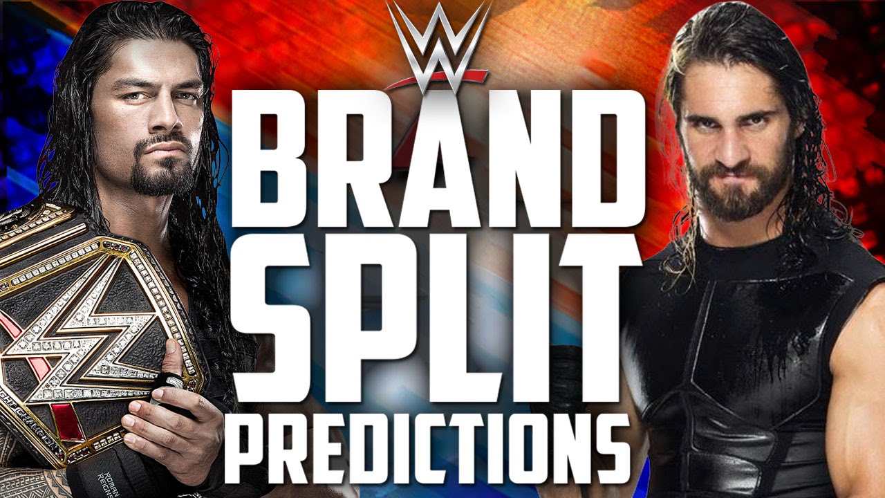 The WWE 2016 Brand Split