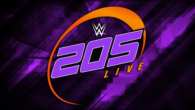 WWE 205 Live Review 01/24/2017